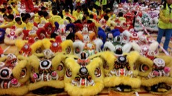 香港龍獅節 2014 