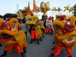 香港龍獅節 2015 