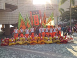 香港龍獅節 2015 