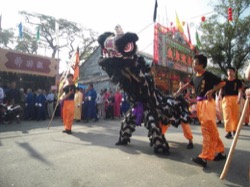 林村鄉戊子年太平清醮 