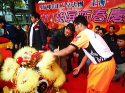 朗屏新春慶嘉年華 2011 