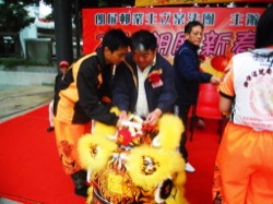 朗屏新春慶嘉年華 2011 