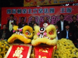 朗屏新春慶嘉年華 2011 