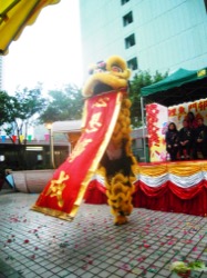 鯉魚門邨新春愛護環境嘉年華 2011 