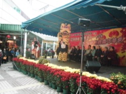 華富(一)新春醒獅賀歲嘉年華會 2011 