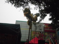 華富(一)新春醒獅賀歲嘉年華會 2011 