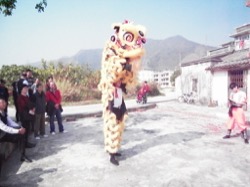 擔水坑村開年新春團拜 2011 