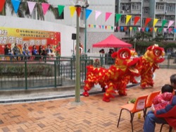 華心邨新春嘉年華 2012 