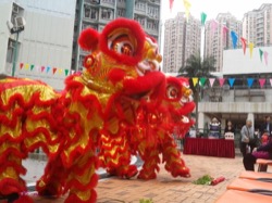 華心邨新春嘉年華 2012 