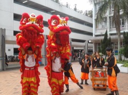 華心邨新春嘉年華 2012 