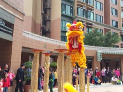 青衣曉峰園 2015 