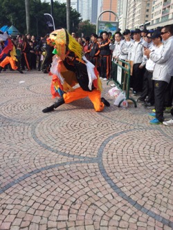 澳門公益公百萬行 2013 