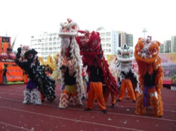 北區回歸十週年大巡遊 