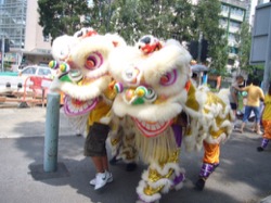 大埔區迎奧運大巡遊 