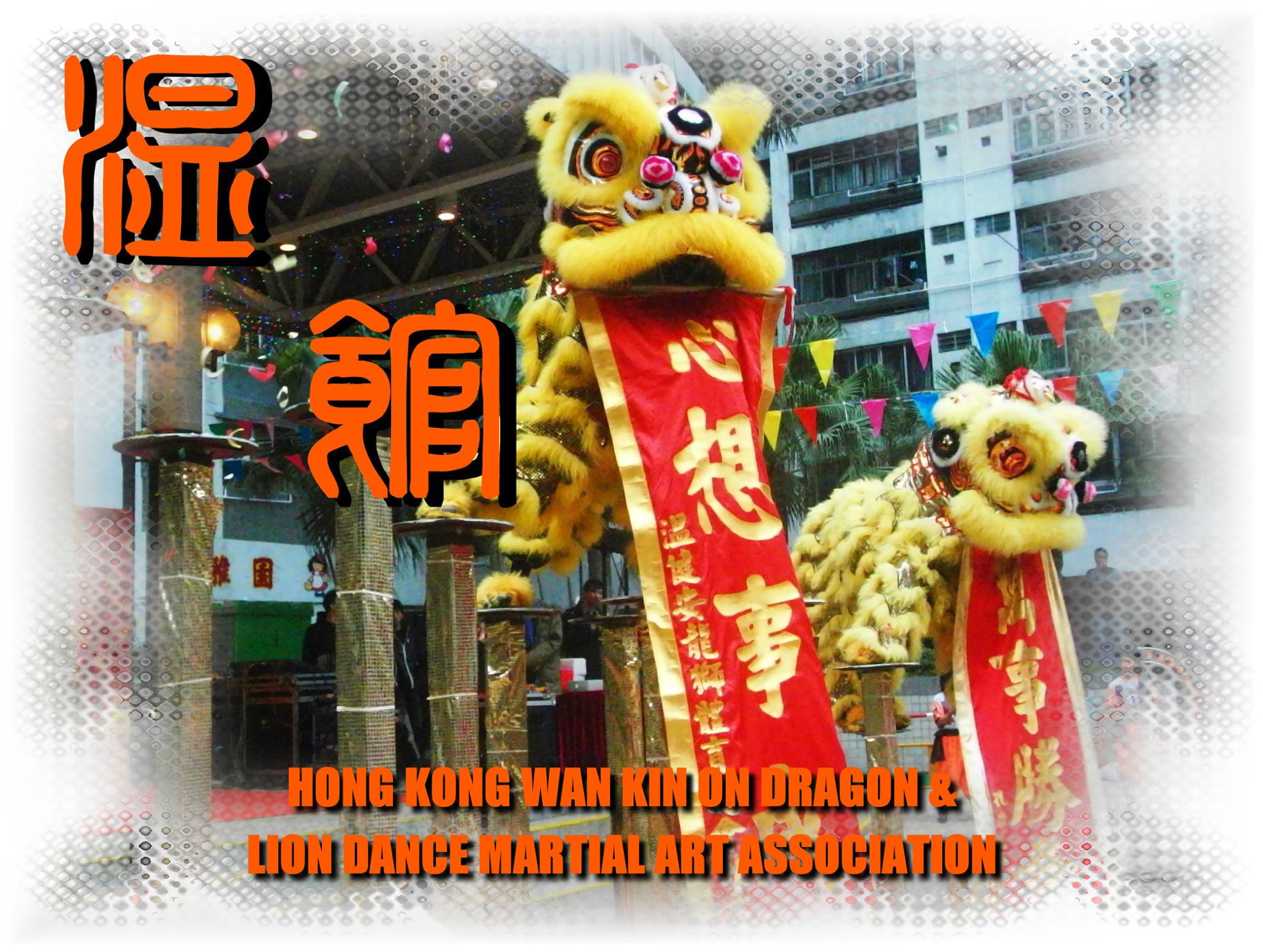 香港温健安龍獅體育總會:舞獅,舞龍,龍獅